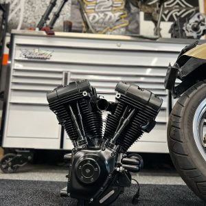 Murdered out twin cam full 95” build!